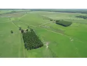 865 hectáreas. Tierra Roja 💯%. Se venden juntas. Especial p/Agrícultura. Financio Prendad