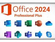 Office LTSC Profesional Plus 2024 Plan de 1 ano.