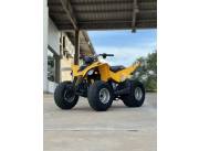 Can-Am DS 90 Usada Impecable