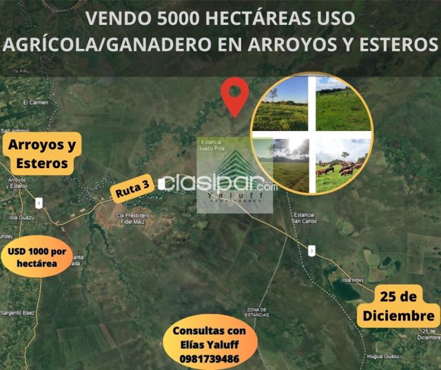 Propiedades rurales - VENDO EN ARROYOS Y ESTEROS 5000 HECTÁREAS PARA AGRICULTURA Y GANADERÍA