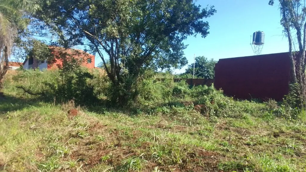 TERRENO EN ENCARNACION — foto 3