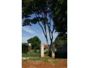 Terreno en inmejorable ubicación en San Lorenzo