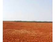 Campo Agrícola Mecanizado en Itakyry - 500 Ha.