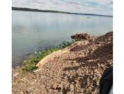 Sobre río Paraná