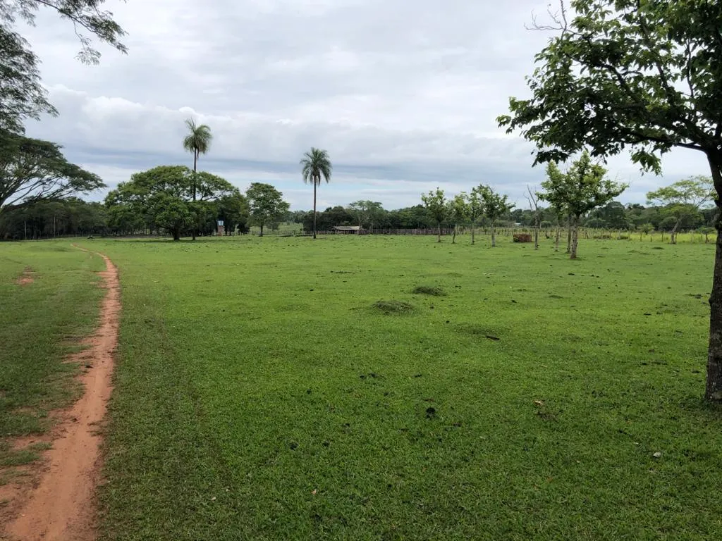 SAN JUAN NEPOMUCENO VENDO 60 HAS DE TIERRA AGRÍCOLA A 1 KM DEL ASFALTO PEGADO A LA CIUDAD — foto 2