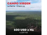 Vendo Terreno Chaco Paraguayo