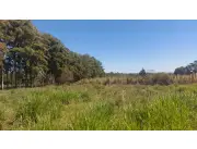 VENDO IMPORTANTE INMUEBLE DE 17 HECTAREAS EN TOBATI, CON HERMOSA VISTA AL VALLE