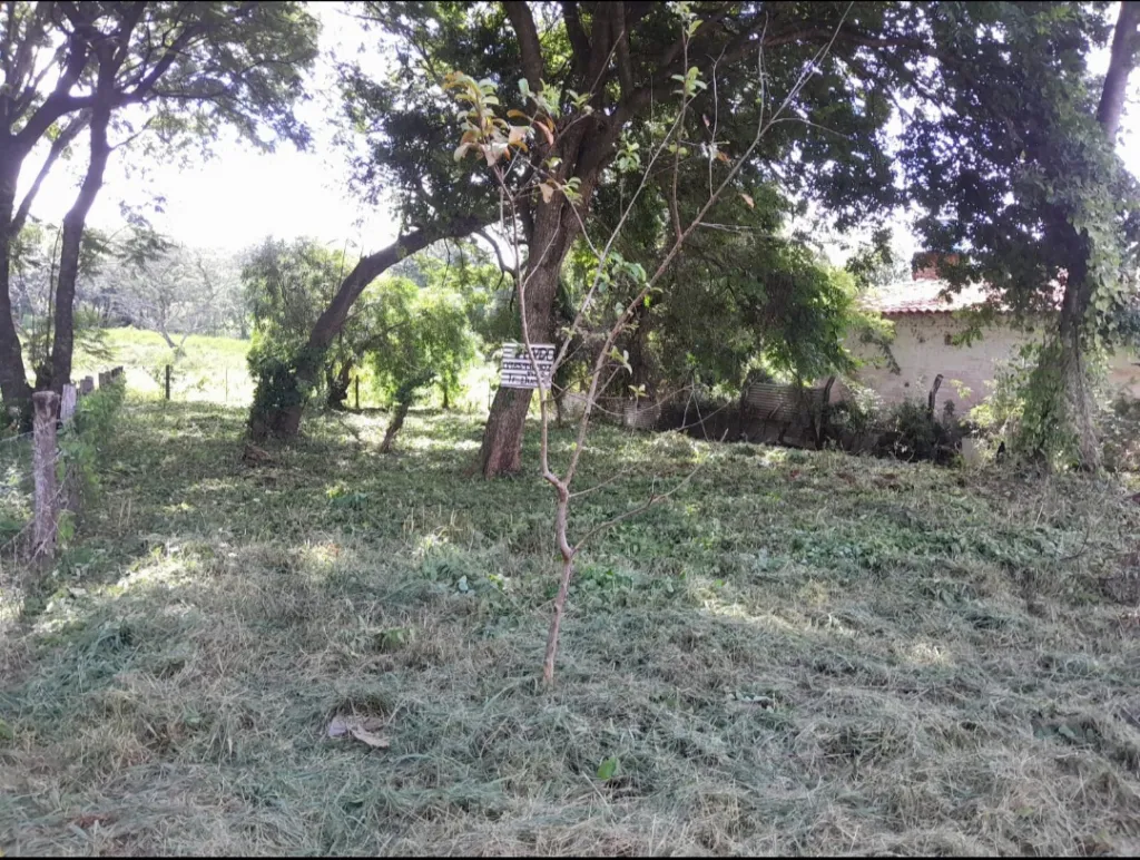 REMATO TERRENO 420 M2 — foto 3