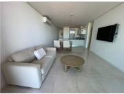 Alquilo departamento amoblado cod 3554