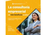 Consultora empresarial - Servicios en gral.