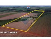 VENDO CAMPO DE 45 HAS EN ALTO PARANA!!