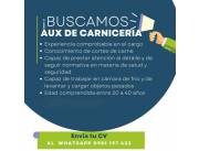 BUSCAMOS CARNICERO- BIGGIE EXPRESS