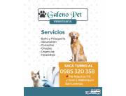 Servicio Veterinario para Perros y Gatos en San Lorenzo