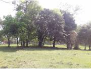 Terreno Rural en Coronel Oviedo - 10 Ha.