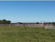 ESTANCIA FORMADA DE 1331 HECTÁREAS EN TACUARAS ÑEEMBUCU