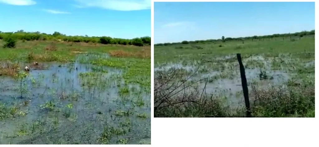 ALTO PARAGUAY - ZONA TTE. MARTINEZ - ESTANCIA 2.550 Has - — foto 2
