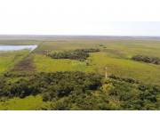 Campo Agrícola/Ganadero en Caraguatay - 300 Ha.