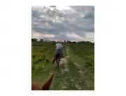 VENDO CAMPO EN VILLA OLIVA ÑEEMBUCU 353 HECTAREAS
