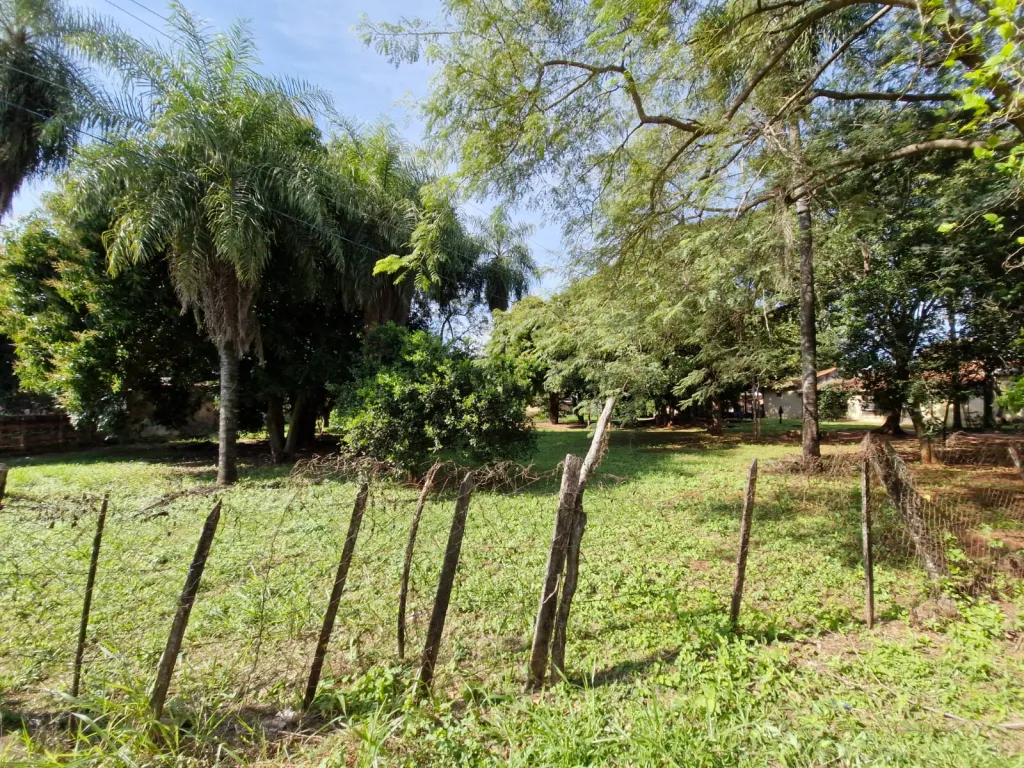 VENDO TERRENOPROPIEDAD DE 5.000 M2 EN BARRIO PRIMAVERA LUQUE Gs 1.900 MILLONES COD V0134 — foto 3