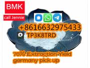 BMK Powder 5449–12–7 CAS 20320–59–6 BMK 24hou germany pick up