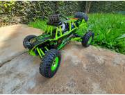 Auto a control Buggy hasta 50km/h