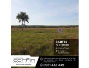 EL CORTIJO - SAN BERNARDINO 3 LOTES QUINTA EN ESQUINA DE 860M2 C/U, LOS 3 JUNTOS 2580M2