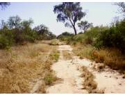 Campo Agrícola/Ganadero en General Garay - 8000 Ha.