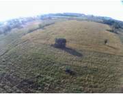 Terreno Rural Mecanizado en San Pedro del Paraná - 20 Ha.