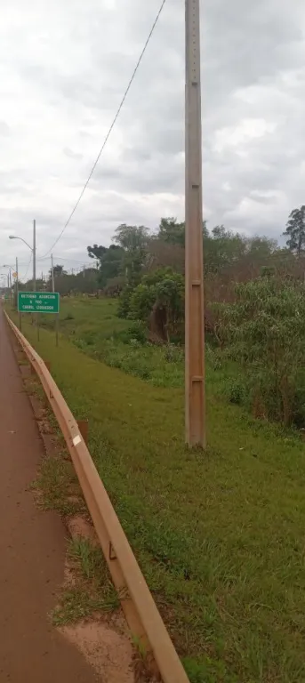 Oportunidad única VENDO PROPIEDAD 5 hectarea sobre ruta 2 Dr Juan León mallorquín,km67 — foto 2