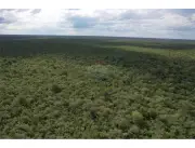 En venta 3.974 HECTÁREAS DE MONTE EN BAHÍA NEGRA