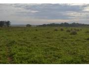 Campo Agrícola/Ganadero en Nueva Londres - 88 Ha.