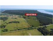 VENDO 1400 HECTAREAS EN PILAR..