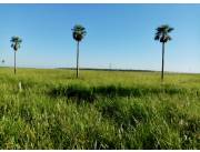 Campo Ganadero en Benjamín Aceval - 6000 Ha.