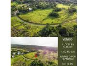 1.232 m2 -VENDO LOTES EN SURUBI’I-25571