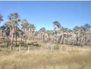 Campo Ganadero en Fuerte Olimpo - 3500 Ha.