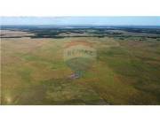 CAMPO EN VENTA EN SAN JUAN NEPOMUCENO.