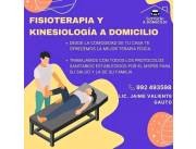 kinesiologia y fisioterapia