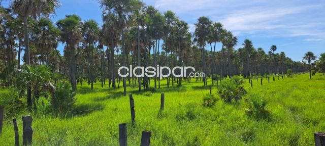 Propiedades rurales - VENDO ESTANCIA EN EL CHACO DE 6545 HECTAREAS