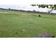 Campo Ganadero en Toro Pampa - 5500 Ha.