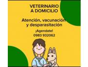 Veterinario a domicilio