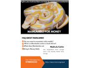 Mamlambo Spiritual Snake Money - Simple Money Spells That Work in South Africa📞+277888043