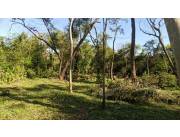 VENDO TERRENO EN SAN BERNARDINO