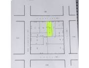 VENDO PROPIEDAD EN B° RECOLETA SOBRE PACHECO 516 m2