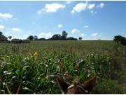 Campo Agrícola/Ganadero en Coronel Oviedo - 160 Ha.