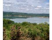 Terreno Rural en Nueva Alborada costa al Río Paraná - 2 Ha.