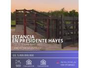 VENDO ESTANCIA EN PRESIDENTE HAYES