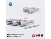 Capsule-Type Fuel Injection Nozzles for C9 HEUI Fuel Injector Nozzle