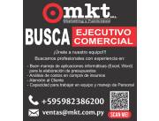 EJECUTIVO COMERCIAL