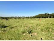 Terreno Agrícola/Ganadero en Santani sobre Ruta - 19 Ha.