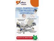 Alquiler cama de 3 motorizada